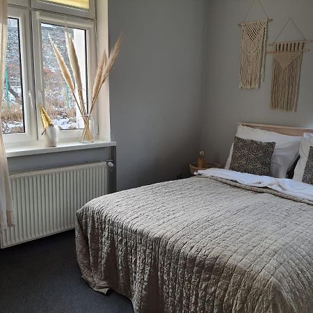Apartamenty Deptak - W Centrum Karpacza, Parking W Cenie! Εξωτερικό φωτογραφία