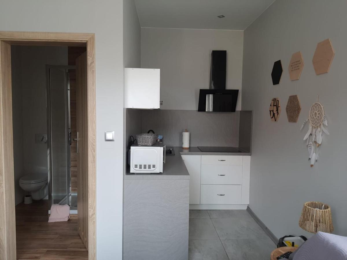 Apartamenty Deptak - W Centrum Karpacza, Parking W Cenie! Εξωτερικό φωτογραφία