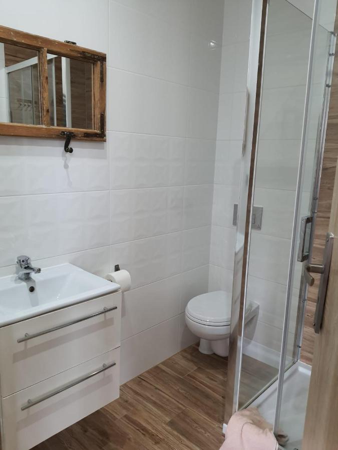 Apartamenty Deptak - W Centrum Karpacza, Parking W Cenie! Εξωτερικό φωτογραφία