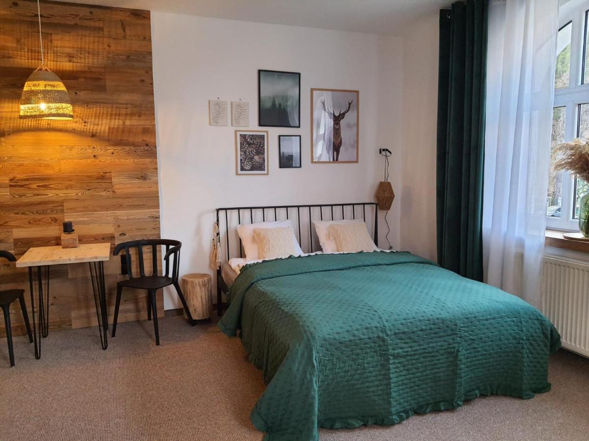 Apartamenty Deptak - W Centrum Karpacza, Parking W Cenie! Εξωτερικό φωτογραφία