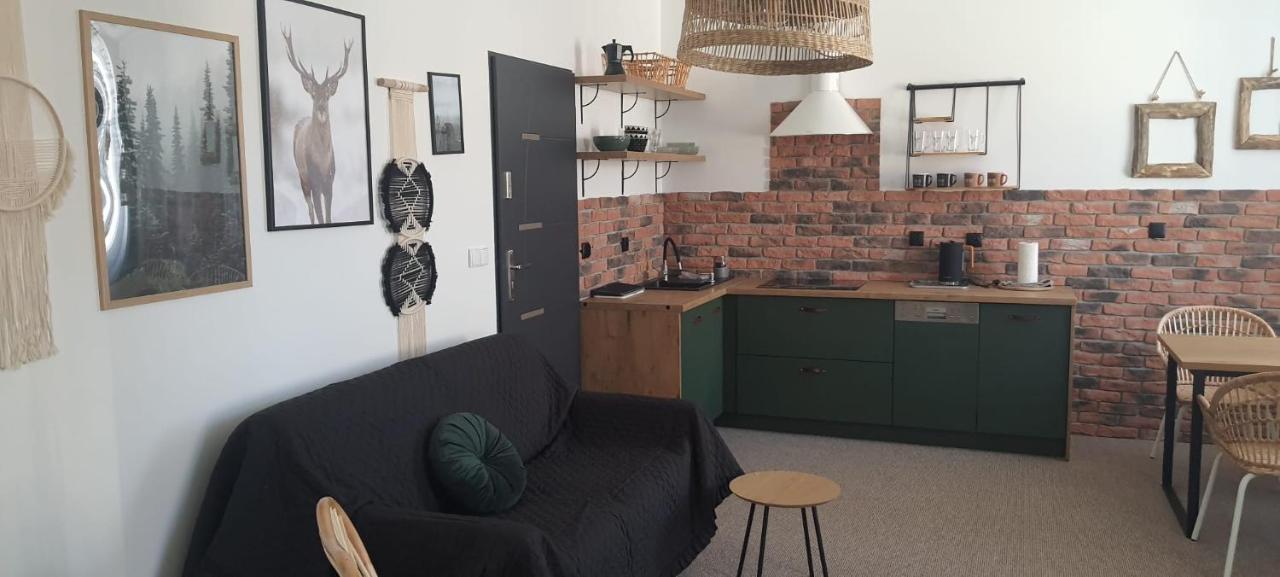 Apartamenty Deptak - W Centrum Karpacza, Parking W Cenie! Εξωτερικό φωτογραφία
