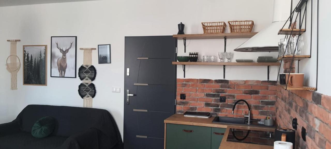 Apartamenty Deptak - W Centrum Karpacza, Parking W Cenie! Εξωτερικό φωτογραφία